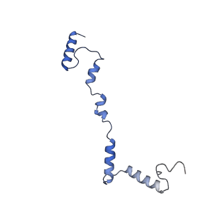 2913_5aj3_i_v1-1
Structure of the small subunit of the mammalian mitoribosome