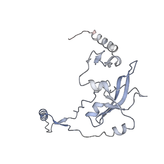 2913_5aj3_j_v1-1
Structure of the small subunit of the mammalian mitoribosome