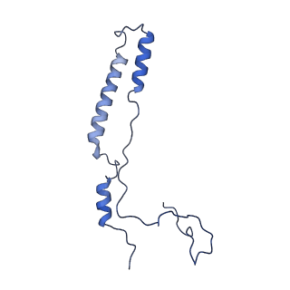2913_5aj3_m_v1-1
Structure of the small subunit of the mammalian mitoribosome