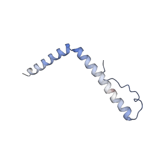 2913_5aj3_n_v1-1
Structure of the small subunit of the mammalian mitoribosome