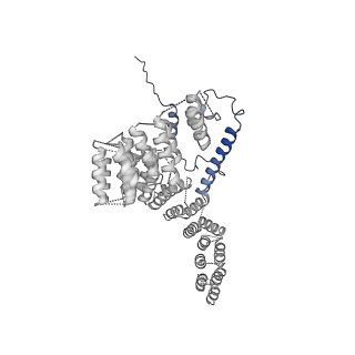 2913_5aj3_o_v1-1
Structure of the small subunit of the mammalian mitoribosome