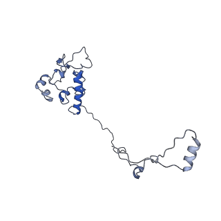 2913_5aj3_p_v1-1
Structure of the small subunit of the mammalian mitoribosome