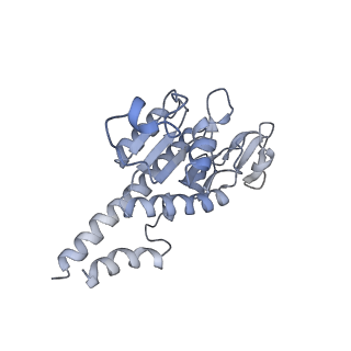 2914_5aj4_AB_v1-2
Structure of the 55S mammalian mitoribosome.