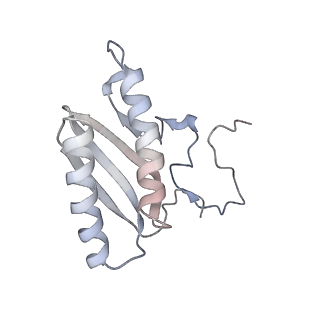 2914_5aj4_AC_v1-2
Structure of the 55S mammalian mitoribosome.