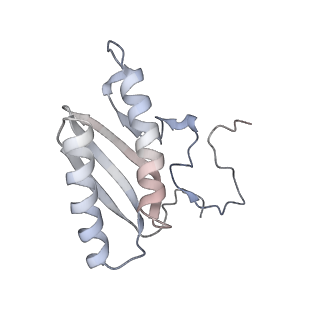 2914_5aj4_AC_v2-2
Structure of the 55S mammalian mitoribosome.