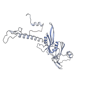 2914_5aj4_AE_v1-2
Structure of the 55S mammalian mitoribosome.