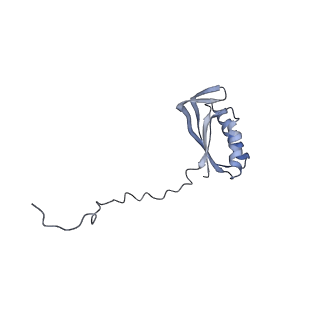 2914_5aj4_AF_v1-2
Structure of the 55S mammalian mitoribosome.