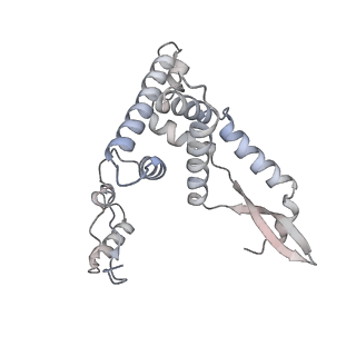 2914_5aj4_AG_v1-2
Structure of the 55S mammalian mitoribosome.
