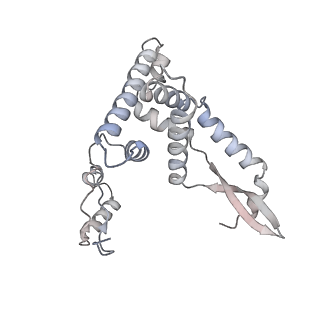2914_5aj4_AG_v2-2
Structure of the 55S mammalian mitoribosome.