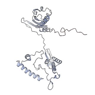 2914_5aj4_AI_v1-2
Structure of the 55S mammalian mitoribosome.