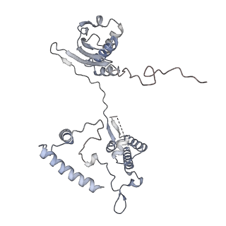 2914_5aj4_AI_v2-2
Structure of the 55S mammalian mitoribosome.