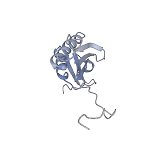 2914_5aj4_AK_v1-2
Structure of the 55S mammalian mitoribosome.