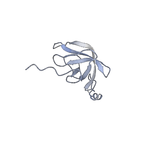 2914_5aj4_AL_v1-2
Structure of the 55S mammalian mitoribosome.