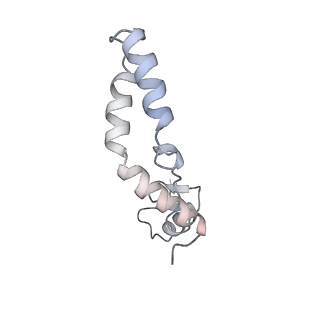 2914_5aj4_AN_v1-2
Structure of the 55S mammalian mitoribosome.
