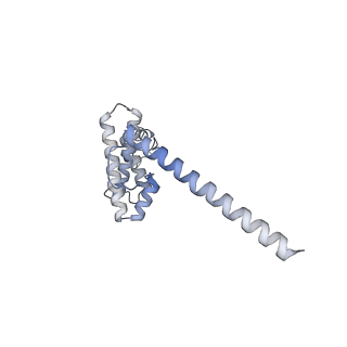 2914_5aj4_AO_v1-2
Structure of the 55S mammalian mitoribosome.