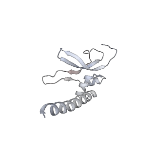 2914_5aj4_AP_v1-2
Structure of the 55S mammalian mitoribosome.