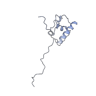 2914_5aj4_AR_v1-2
Structure of the 55S mammalian mitoribosome.
