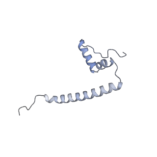 2914_5aj4_AU_v1-2
Structure of the 55S mammalian mitoribosome.