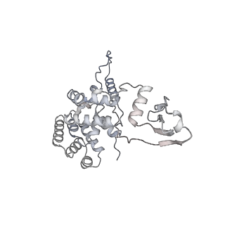 2914_5aj4_Aa_v1-2
Structure of the 55S mammalian mitoribosome.