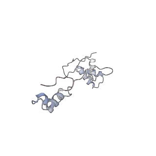 2914_5aj4_Ab_v1-2
Structure of the 55S mammalian mitoribosome.