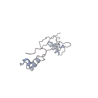 2914_5aj4_Ab_v2-2
Structure of the 55S mammalian mitoribosome.
