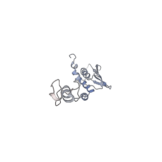 2914_5aj4_Ac_v1-2
Structure of the 55S mammalian mitoribosome.