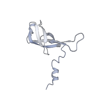 2914_5aj4_Af_v1-2
Structure of the 55S mammalian mitoribosome.