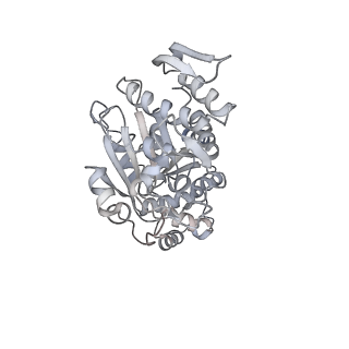 2914_5aj4_Ag_v1-2
Structure of the 55S mammalian mitoribosome.