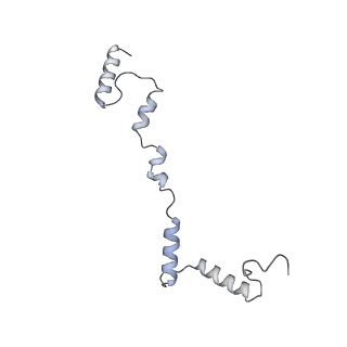2914_5aj4_Ai_v1-2
Structure of the 55S mammalian mitoribosome.