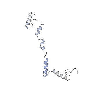 2914_5aj4_Ai_v2-2
Structure of the 55S mammalian mitoribosome.