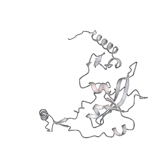 2914_5aj4_Aj_v1-2
Structure of the 55S mammalian mitoribosome.