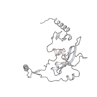 2914_5aj4_Aj_v2-2
Structure of the 55S mammalian mitoribosome.