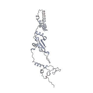 2914_5aj4_Ak_v1-2
Structure of the 55S mammalian mitoribosome.