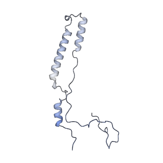 2914_5aj4_Am_v1-2
Structure of the 55S mammalian mitoribosome.