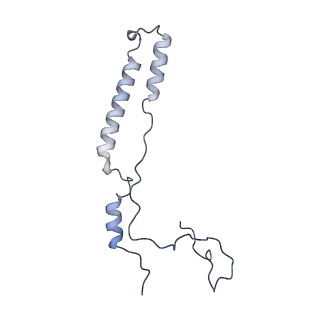 2914_5aj4_Am_v2-2
Structure of the 55S mammalian mitoribosome.