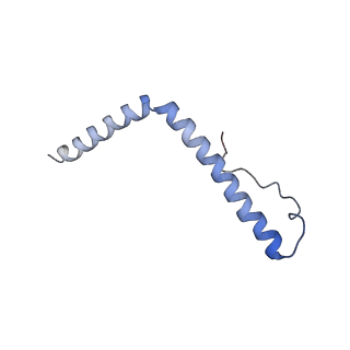2914_5aj4_An_v1-2
Structure of the 55S mammalian mitoribosome.