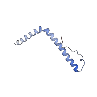 2914_5aj4_An_v2-2
Structure of the 55S mammalian mitoribosome.