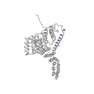 2914_5aj4_Ao_v1-2
Structure of the 55S mammalian mitoribosome.