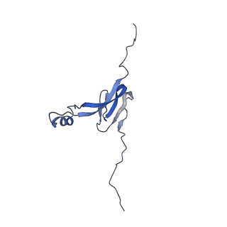 2914_5aj4_B0_v1-2
Structure of the 55S mammalian mitoribosome.