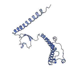 2914_5aj4_B2_v1-2
Structure of the 55S mammalian mitoribosome.