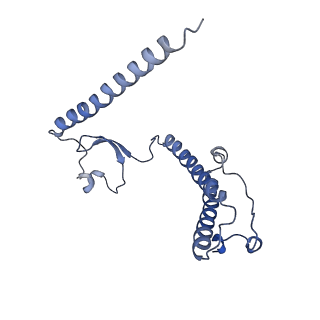 2914_5aj4_B2_v2-2
Structure of the 55S mammalian mitoribosome.