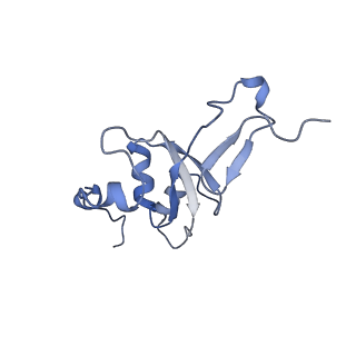 2914_5aj4_B3_v1-2
Structure of the 55S mammalian mitoribosome.