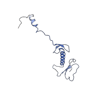2914_5aj4_B5_v1-2
Structure of the 55S mammalian mitoribosome.