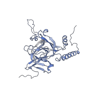 2914_5aj4_BE_v1-2
Structure of the 55S mammalian mitoribosome.