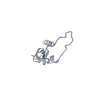 2914_5aj4_BI_v1-2
Structure of the 55S mammalian mitoribosome.