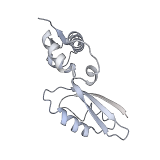 2914_5aj4_BK_v1-2
Structure of the 55S mammalian mitoribosome.