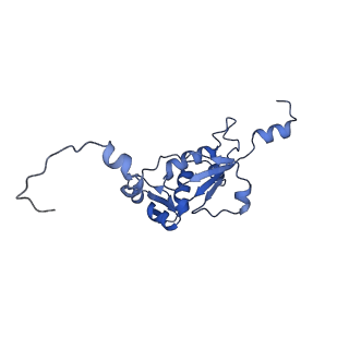 2914_5aj4_BN_v1-2
Structure of the 55S mammalian mitoribosome.