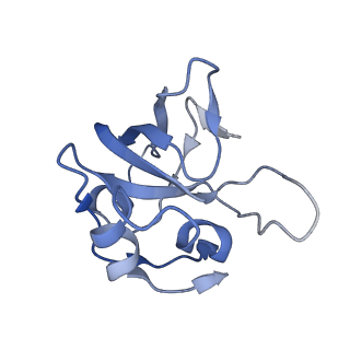 2914_5aj4_BO_v1-2
Structure of the 55S mammalian mitoribosome.