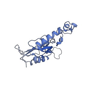 2914_5aj4_BQ_v1-2
Structure of the 55S mammalian mitoribosome.