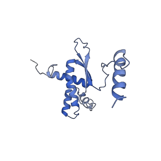2914_5aj4_BR_v1-2
Structure of the 55S mammalian mitoribosome.